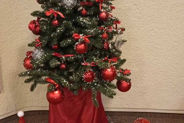0006_rpl_2023-12-01-5_1701515445-38bbc9ff62f404d54e2d7f89bd567b4f.jpg
