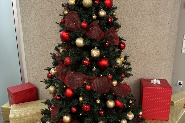 0011_rpl_2023-12-01-10_1701515446-ec75c212a03c9b63197354da64485439.jpg