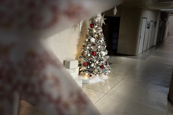 0013_rpl_2023-12-01-12_1701515446-95e3f05258b1375df1dd5b84874e335e.jpg