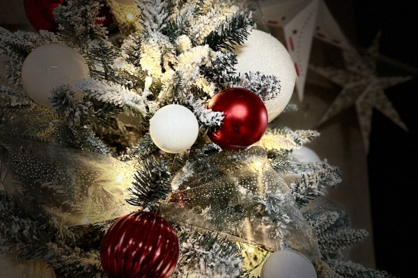 0014_rpl_2023-12-01-13_1701515446-05f29ea06ef4c017aebf77a91fbb71d7.jpg